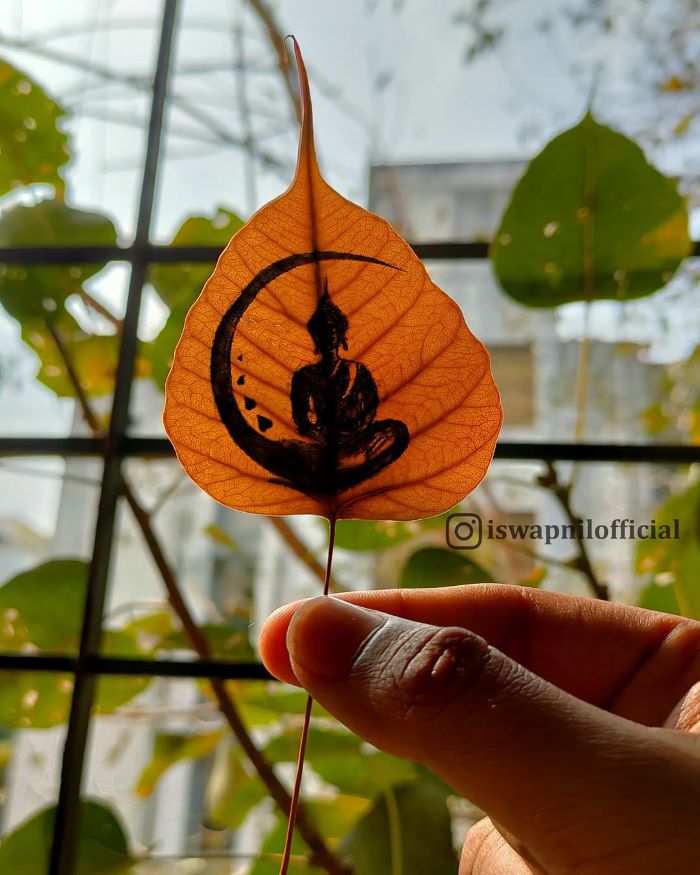 Lá bồ đề là quà tặng cho người thân lưu giữ làm kỷ niệm