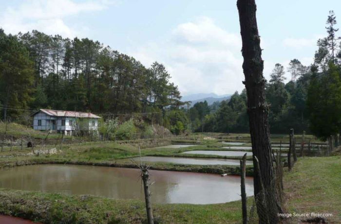 Đến ao cá rộng lớn ở Ziro Valley ở Ấn Độ