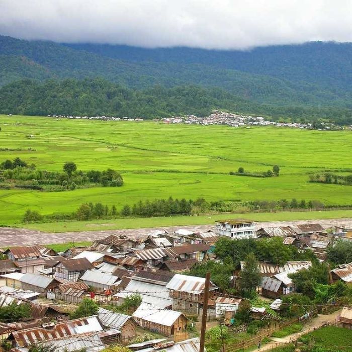Đứng trên cao và ngắm cánh đồng lúa bát ngát ở Ziro