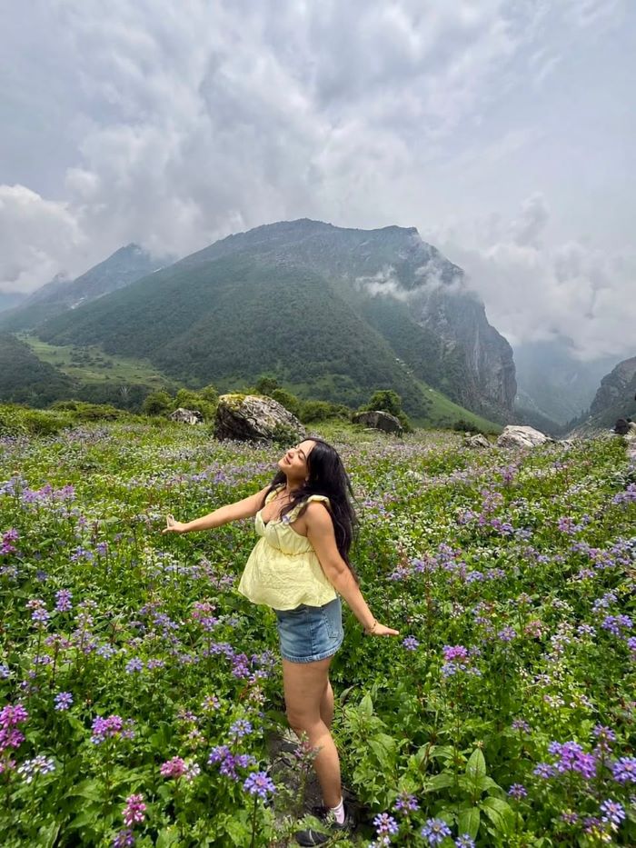 Hoa nở rộ ở Thung lũng Hoa ở Uttarakhand